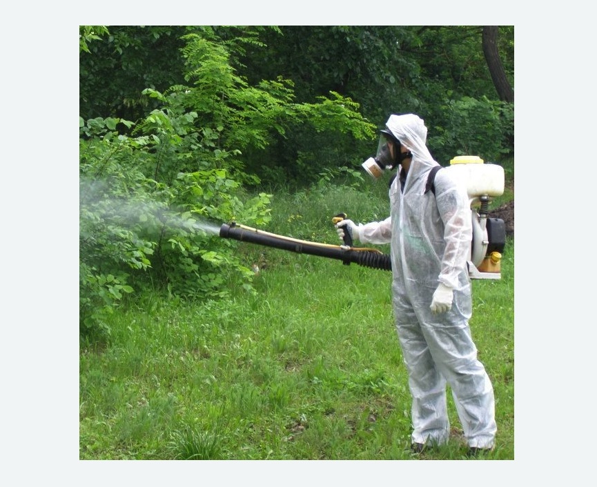 обработка дачи от клещей обработка территории от клещей в Горнозаводске