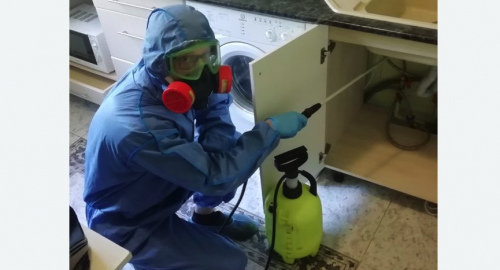 Уничтожение муравьев в квартире. Горнозаводск