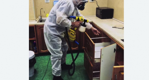 Уничтожение насекомых в квартире. Горнозаводск