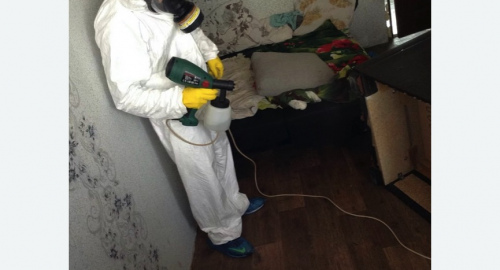 Обработка квартир от насекомых в Горнозаводске