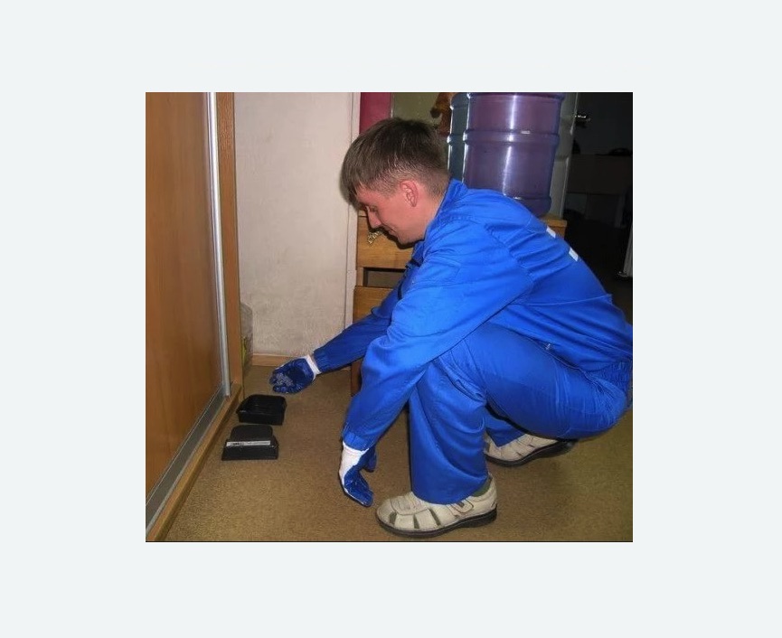 Дератизация крыс в Горнозаводске