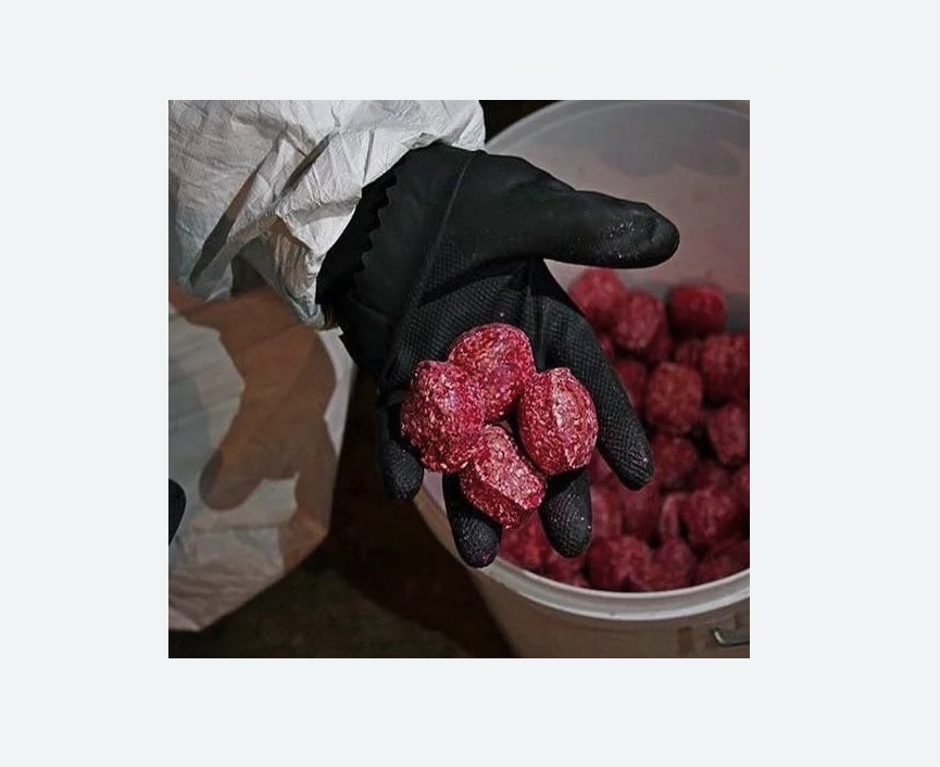 Обработка от крыс в Горнозаводске