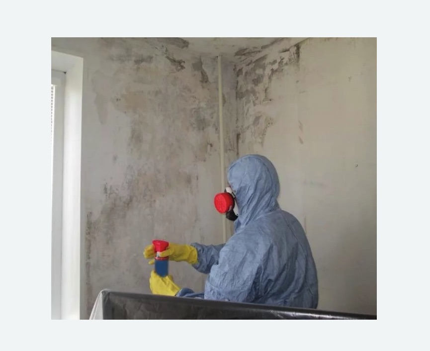 Удаление плесени в квартире в Горнозаводске