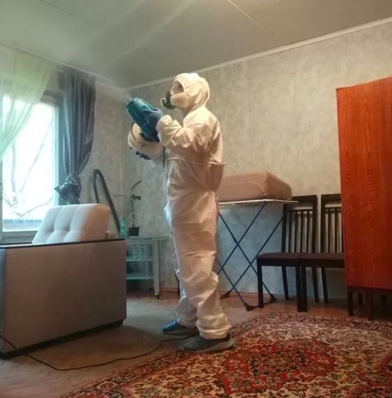 дезинсекция квартиры в Горнозаводске