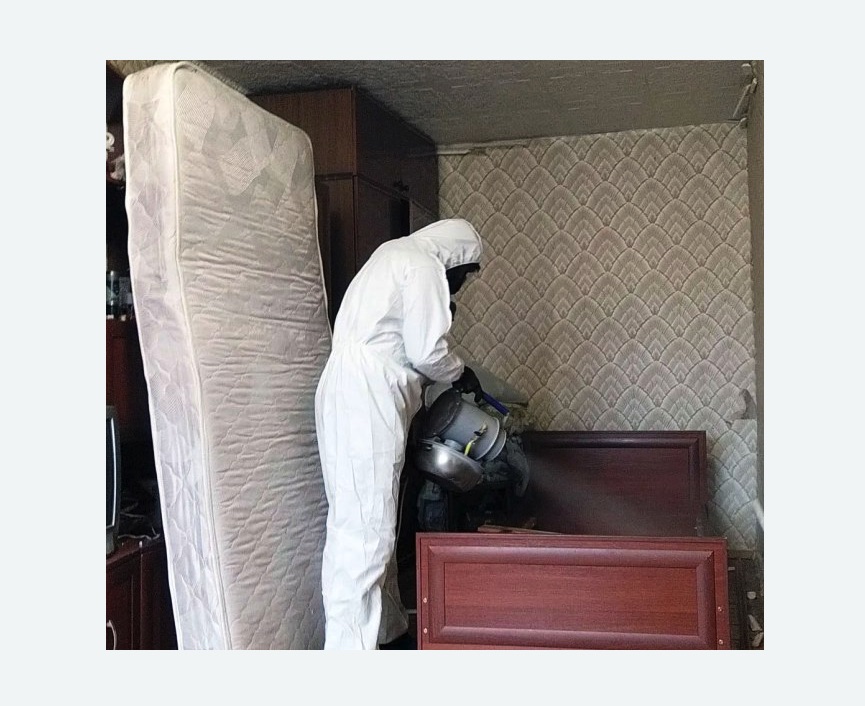 дезинфекция от клопов дезинфекция от клопов в Горнозаводске