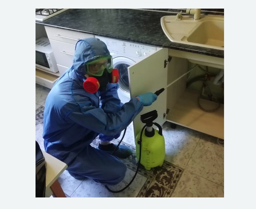 обработка от муравьев в квартире в Горнозаводске