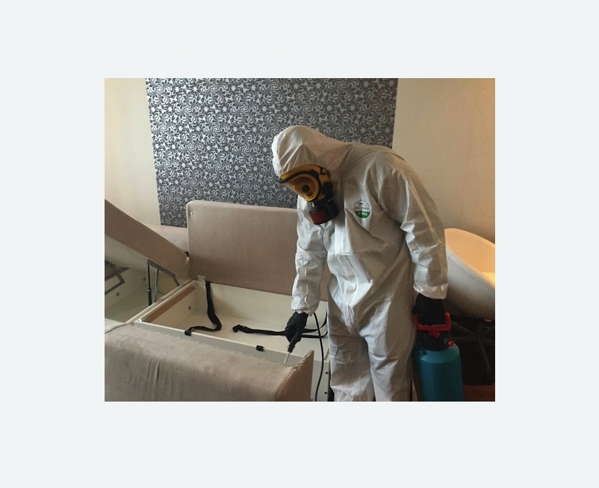 уничтожение клопов в квартире уничтожение клопов в квартире в Горнозаводске