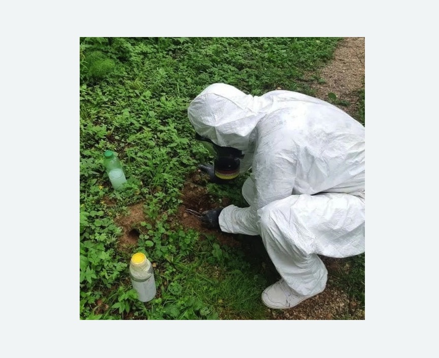 уничтожение кротов на участке в Горнозаводске