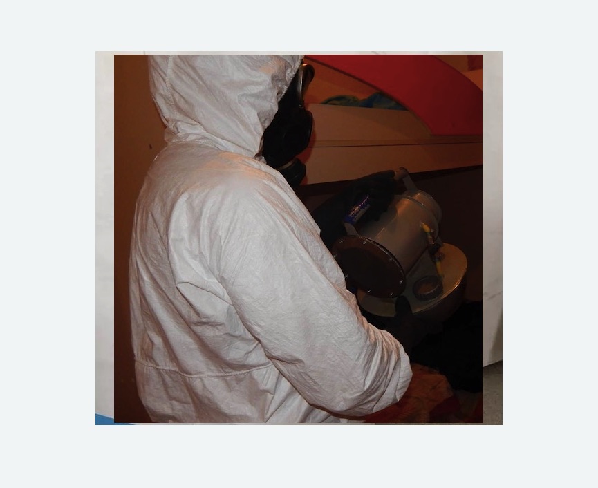 Дезинфекция от муравьев в Горнозаводске