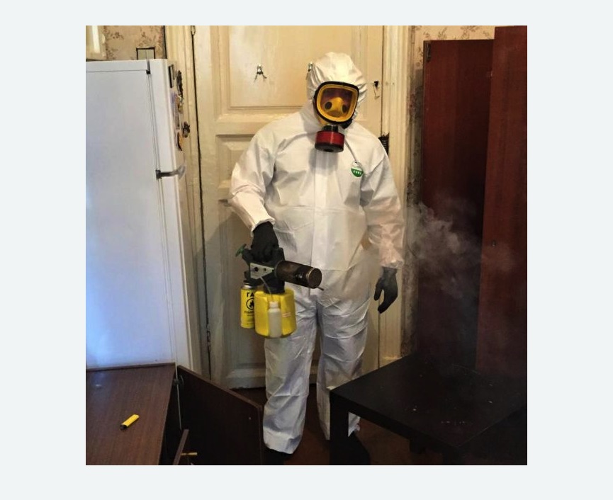 уничтожение муравьев в квартире в Горнозаводске